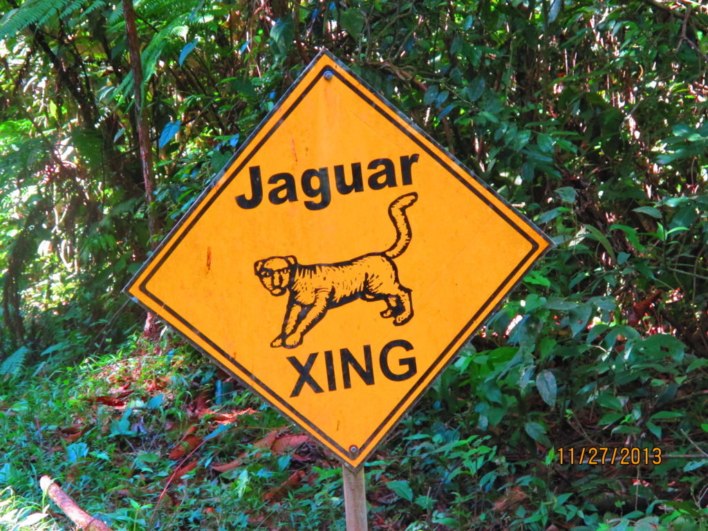 Yellow signage with "Jaguar Xing" ("Jaguar Crossing")