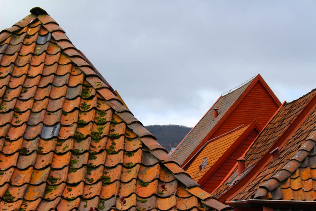 Mossy roof tiles of Bryggen buildings