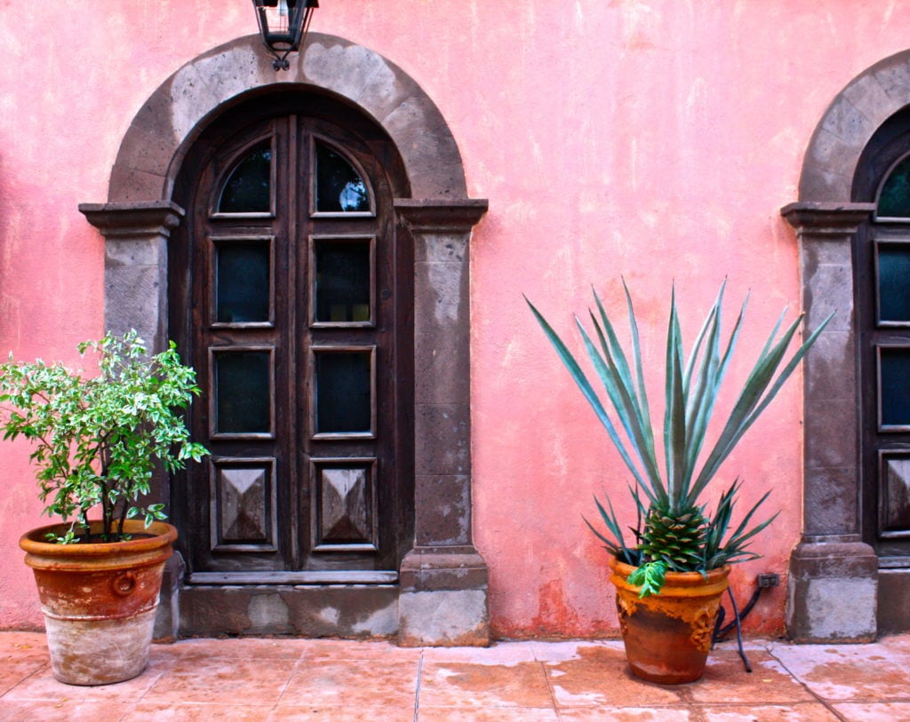 Potted plants outside a pink-painted building in Loreto, Mexico