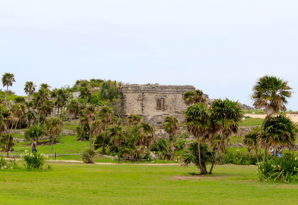 Mayan ruins surrounded by trees and grass fields. This place is a must-see during your day trip to Tulum from Cancun.
