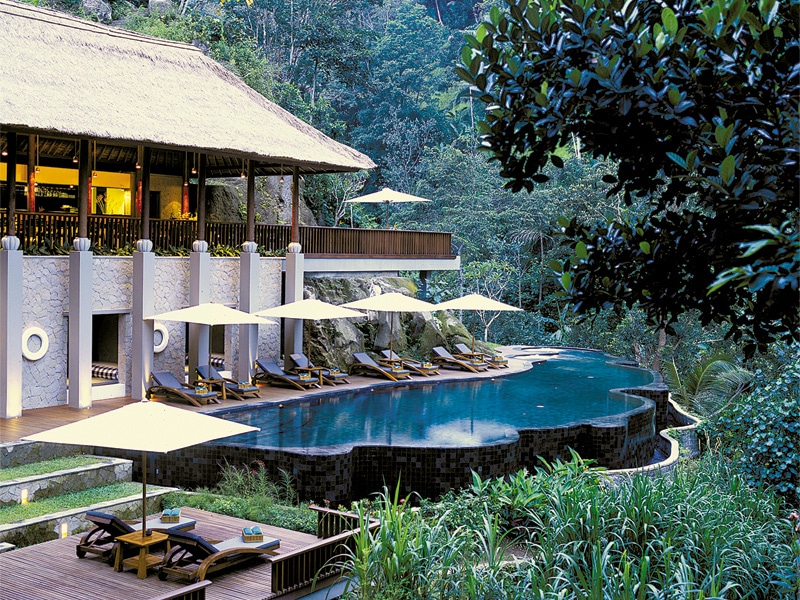 Spa pool lined with lounge chairs near the jungle trees