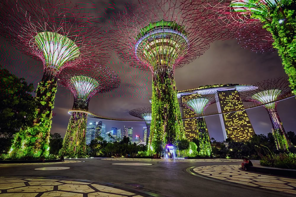 Colorful, lit artificial trees in Supertree Grove at night