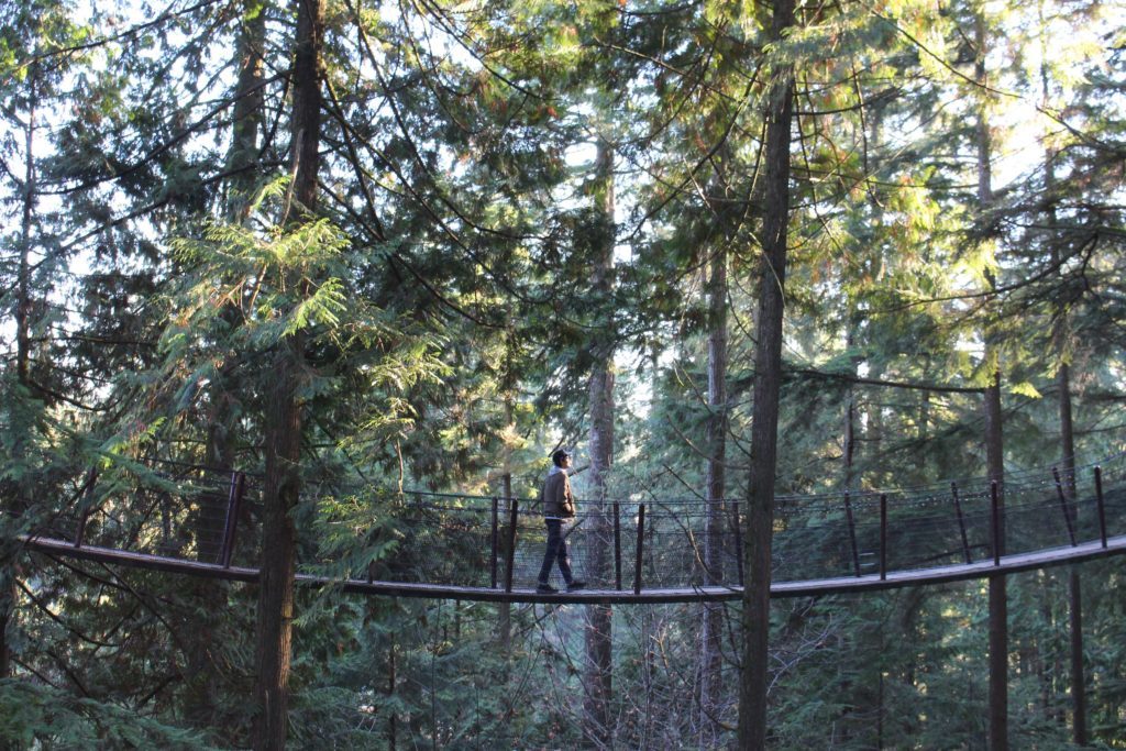 Mauricio walking on the Capilano Suspension Bridge surrounded by tall alpine trees