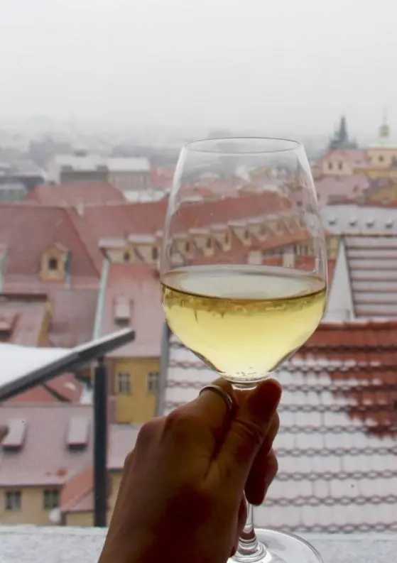 Fine Dining in Prague: Two Delicious Dining Experiences