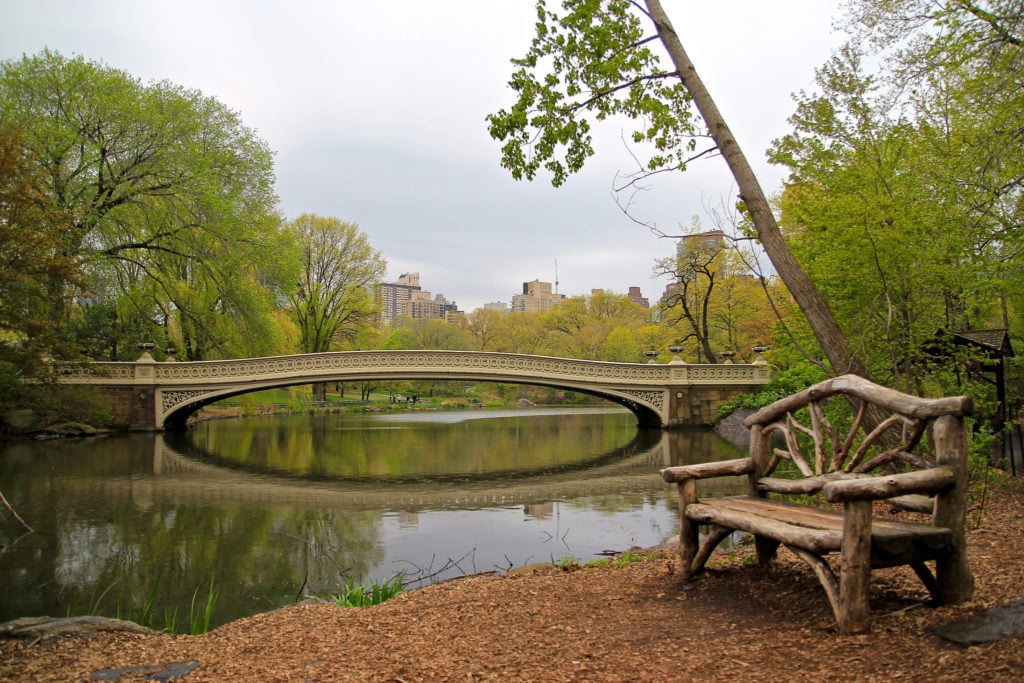 a serene scene in NYC, a bench next to the lake with bridge over it