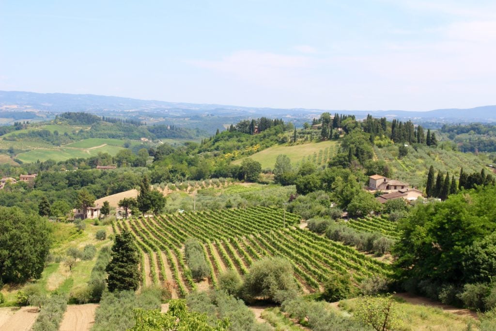 Green fields of Fattoria Poggio Alloro - a gorgeous farm and winery we toured in Tuscany in one day