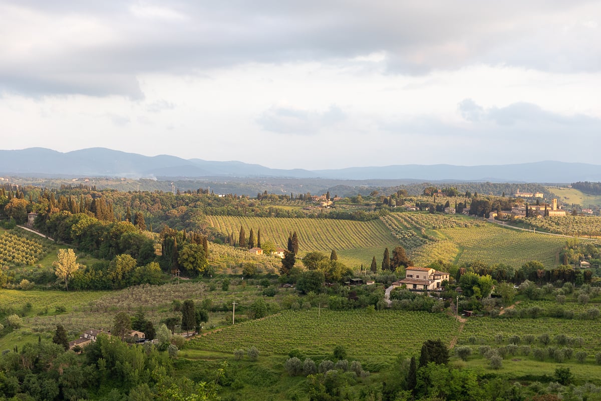 Lush green vineyards of San Gimignano, a must-see on your Tuscany day trip