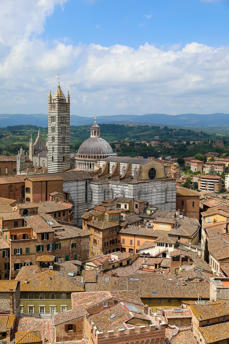 Beautiful view of the buildings and a church in Siena, Italy