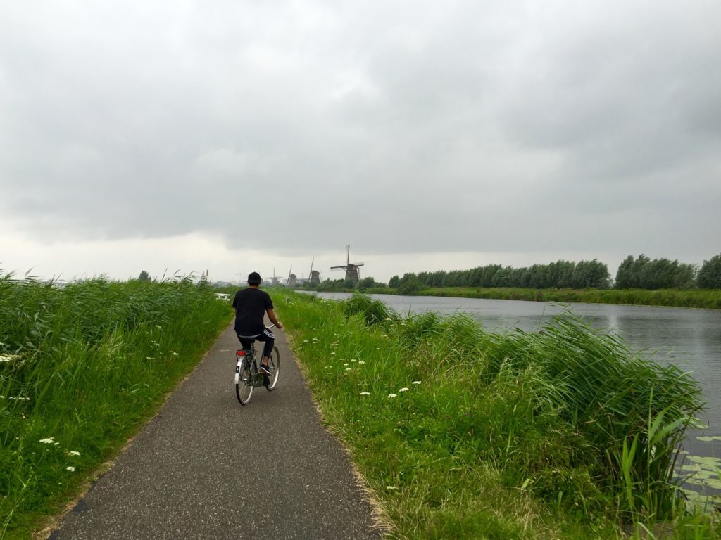Man cycling on a narrow road by the river. In this guide, you will find tips for taking a day trip to Kinderdijk for the first time.