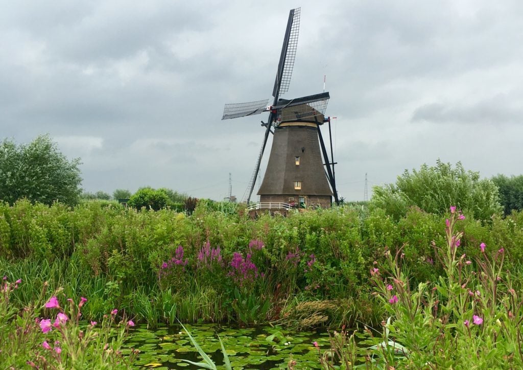 Windmill in a lush field under gloomy skies. We saw a lot of windmills during our day trip to Kinderdijk.