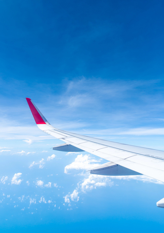 20 Secrets to Always Booking the Cheapest Flight Possible