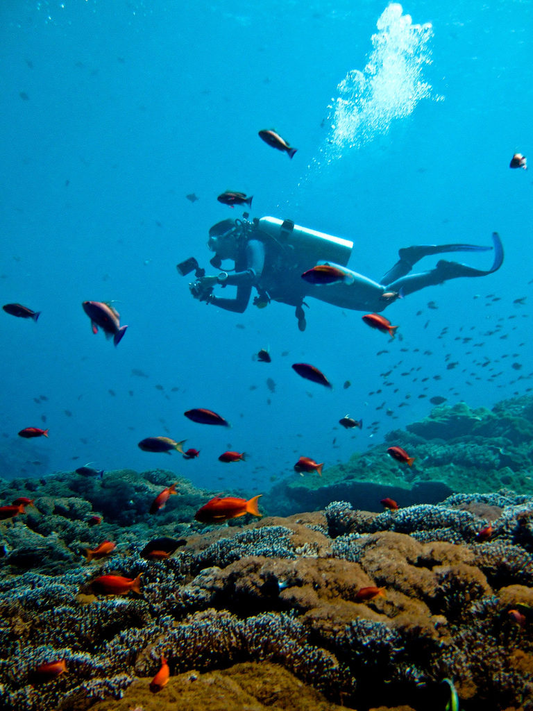 Scuba diving off the coast of Bali in Nusa Penida - one of the things you must see on a day trip to Nusa Penida from Bali!