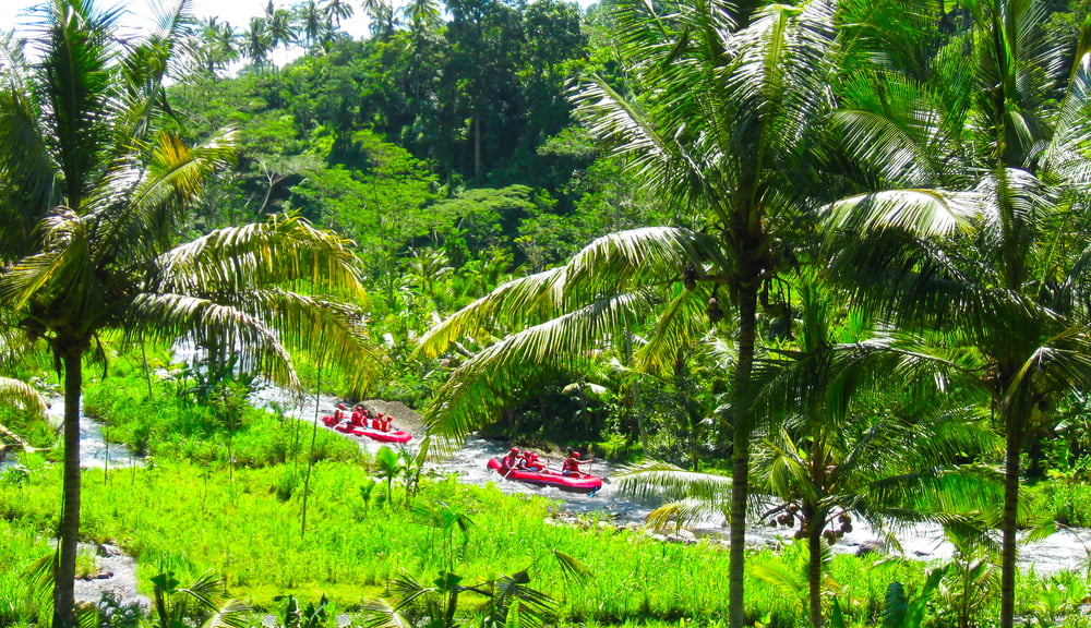 Two red rafts going down the river in Ubud, Bali