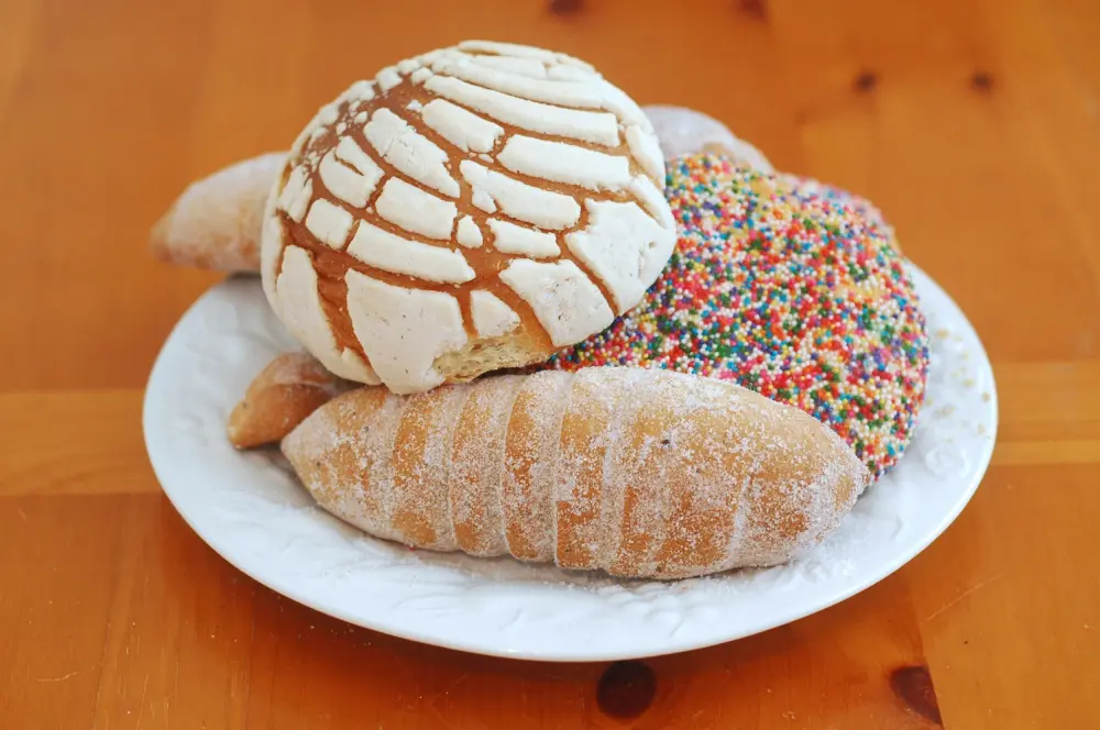 Delicious Pan Dulce, a Mexican sweet bread, on a white plate