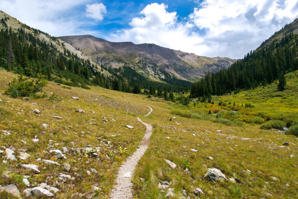 Narrow dirt path surrounded by lush greeneries of mountains and forests. Witness the beautiful nature when you take your active vacation in Colorado Springs.