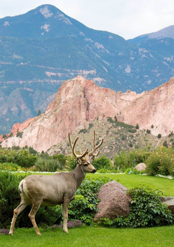 9 Reasons to Take an Active Vacation in Colorado Springs