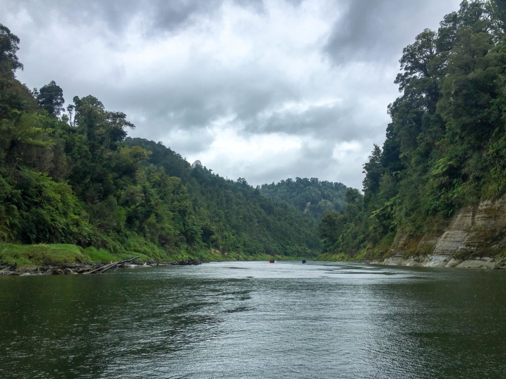 Calm view of the river between lush cliff sides on a cloudy day