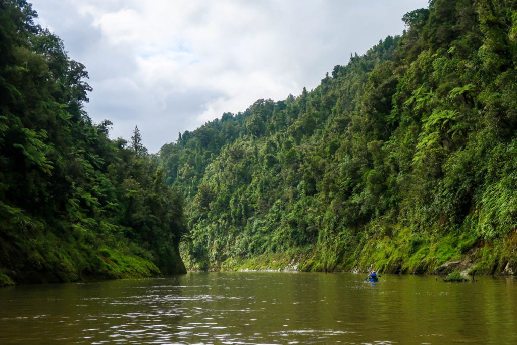 The Whanganui River in between lush mountain trees