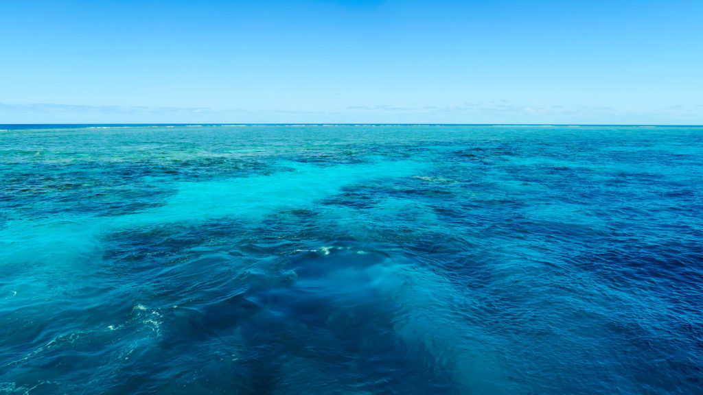Beautiful azure waters meeting the clear blue skies while snorkeling on the Great Barrier Reef