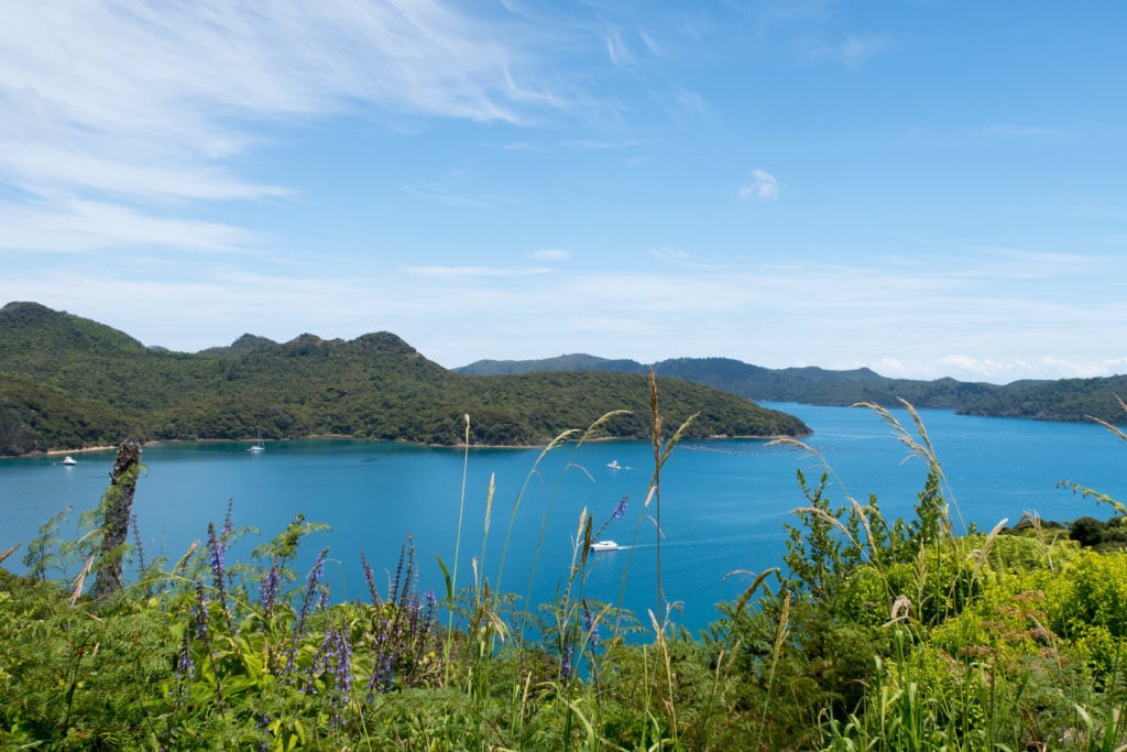 View of a blue bay under blue skies in Great Barrier Island