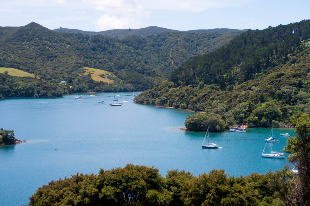 Chances are that you've never heard of Great Barrier Island, New Zealand before. But now that you have, you'll know that you need to go! Between the island's unspoiled beaches, great hiking tracks, unparalleled stargazing, and super-friendly locals, the Barrier is an absolute gem. Here are 10 photos to prove it.