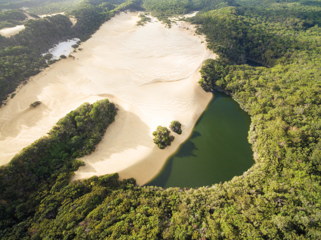 Aerial view of the Lake Wabby, its lush forests and white sand dunes