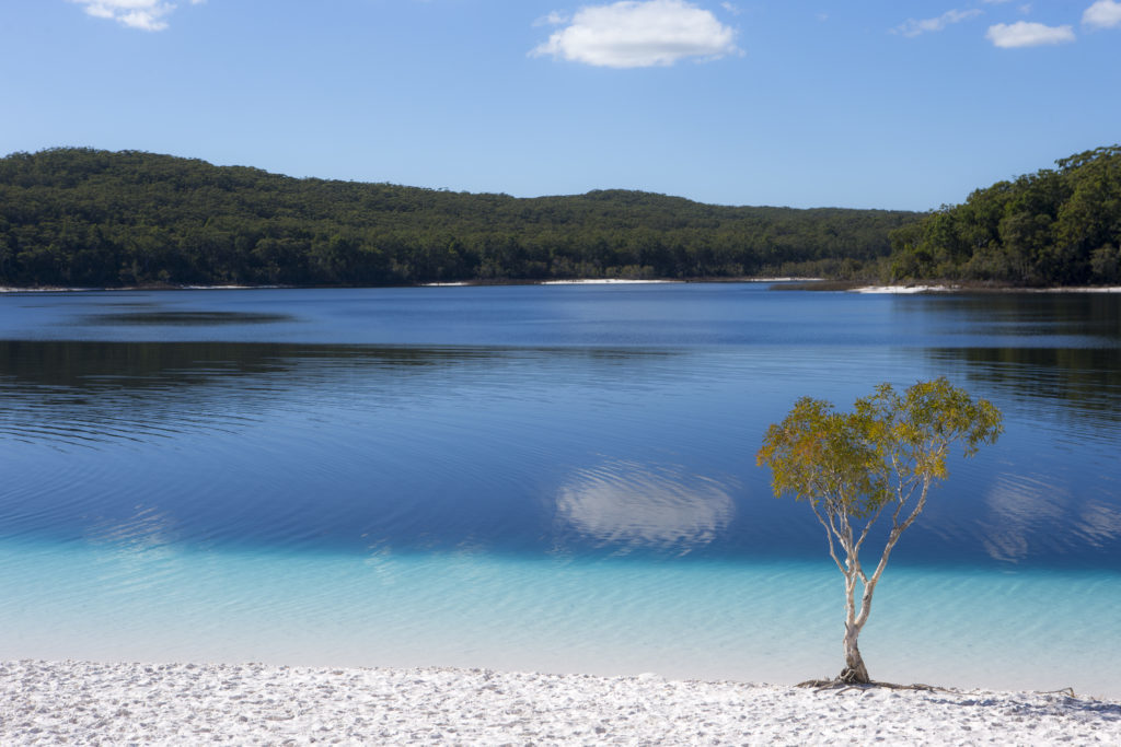 Ready to explore Australia's beautiful Fraser Island? We went on the Fraser Explorer 2 Day Tour with Fraser Explorer Tours and can't recommend it enough. Here's what you can expect on a trip to Fraser Island!