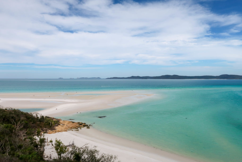 Swirling sand bars surrounded by turquoise waters as seen from a viewpoint as part of our tour sailing the Whitsundays