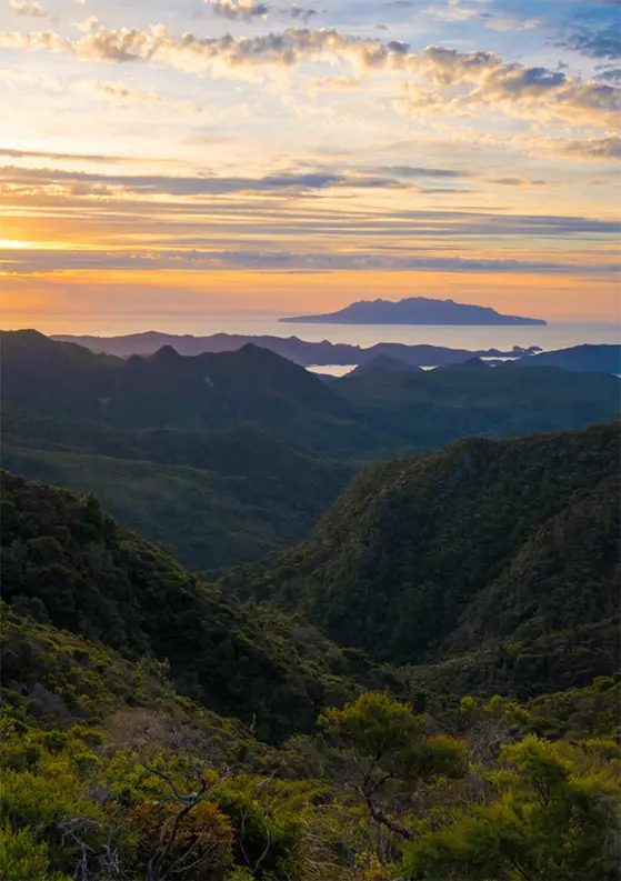 10 Photos to Convince You to Visit Great Barrier Island