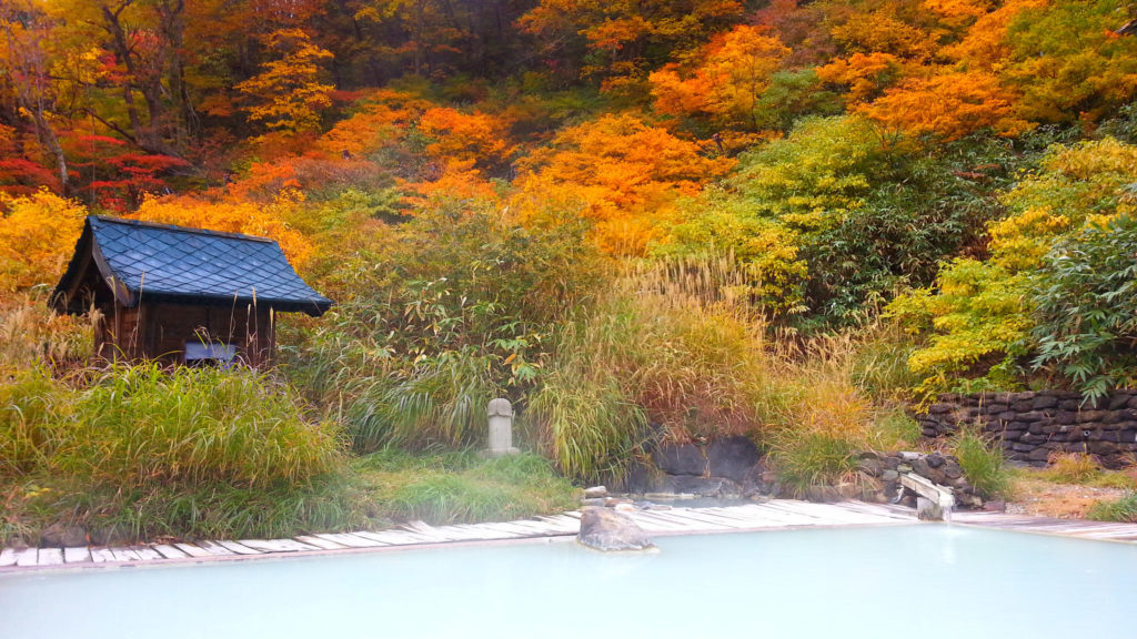 Traditional Japanese onsen surrounded by autumn trees and grass. If you want to relax during your two days in Kyoto, visiting a hot spring is the way to go.