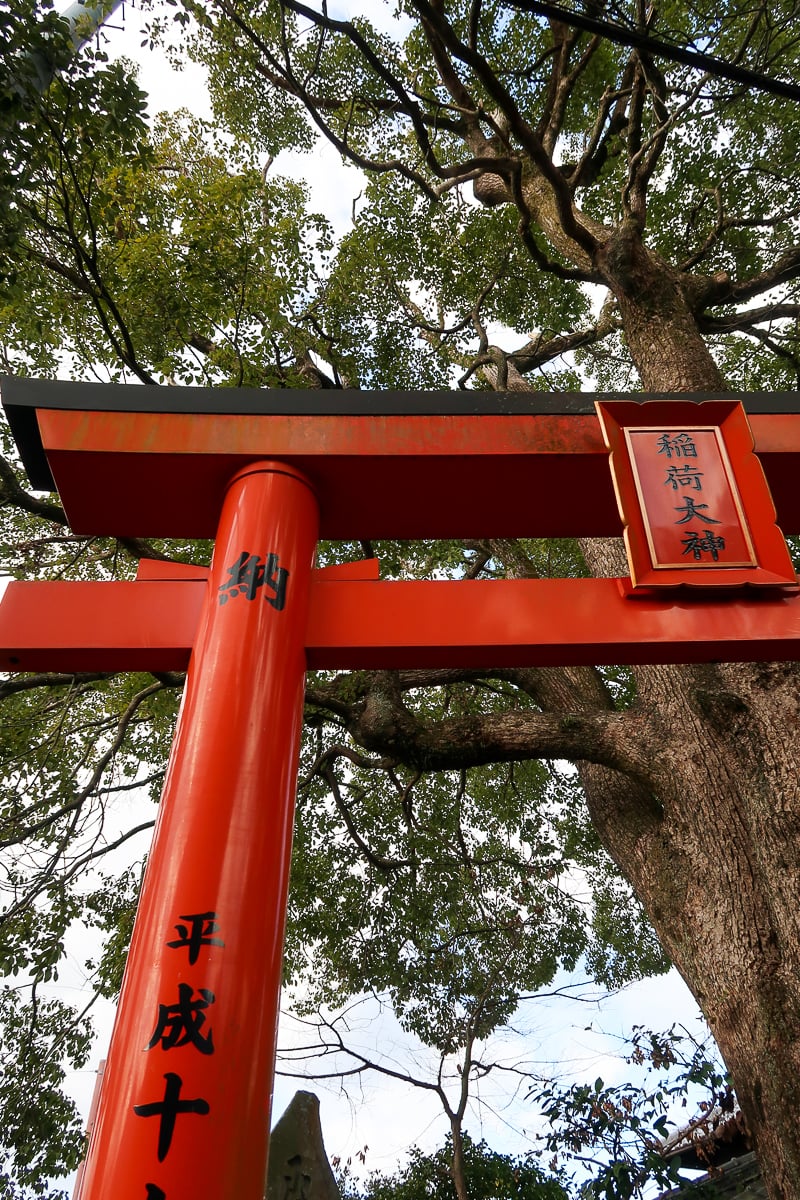 Vermilion torii gate beneath towering trees at Fushimi Inari Taisha in Kyoto, Japan