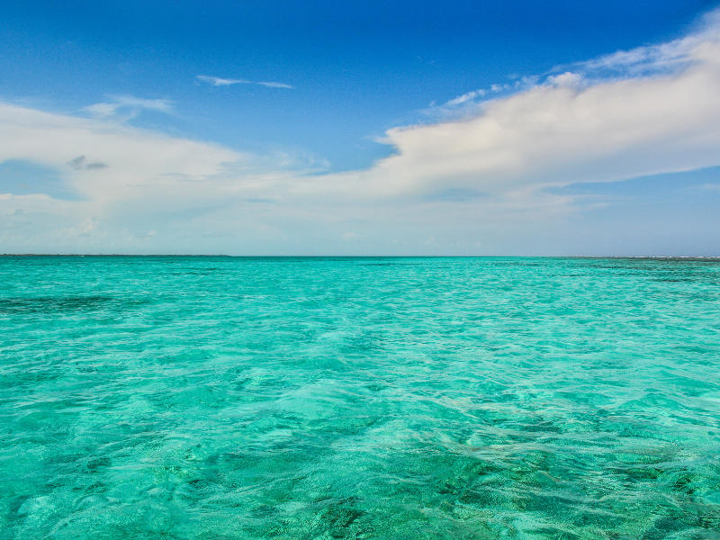Vast expanse of amazingly clear and turquoise Caribbean sea water