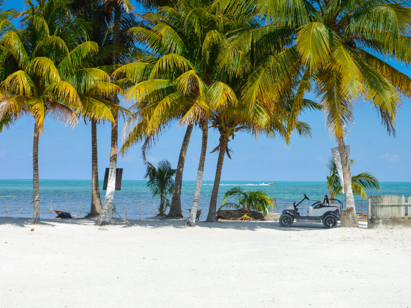 White sand beach with palm trees and a golf cart - this easy going vibe is one of the best reasons to visit belize