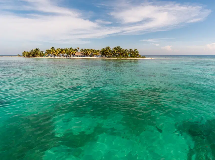 pristine island and palm trees in belize with turquoise water