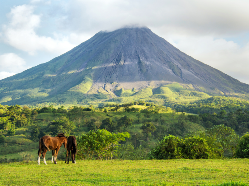 Horses at Arenal Volcano in Costa Rica