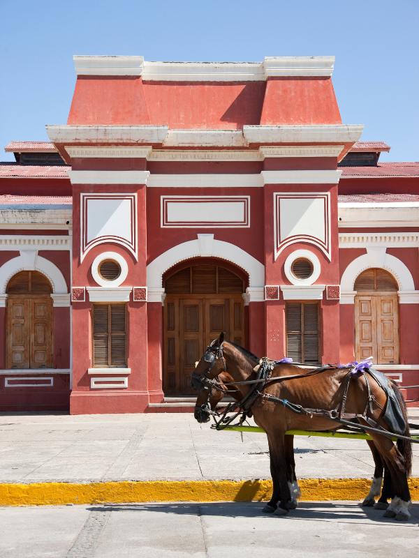 Horse-drawn carriages, one of the best things to do in Granada, Nicaragua