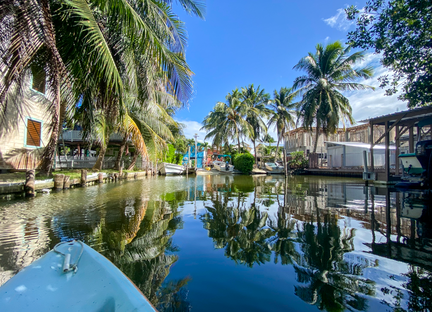 Kayaking around Caye Caulker's palm trees and colorful houses