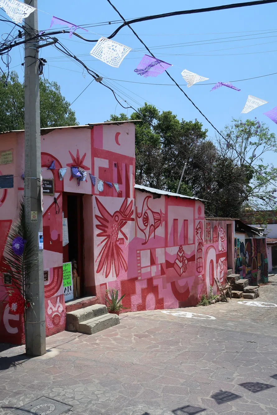 Colorful street art in Xochimilco, Oaxaca, Mexico