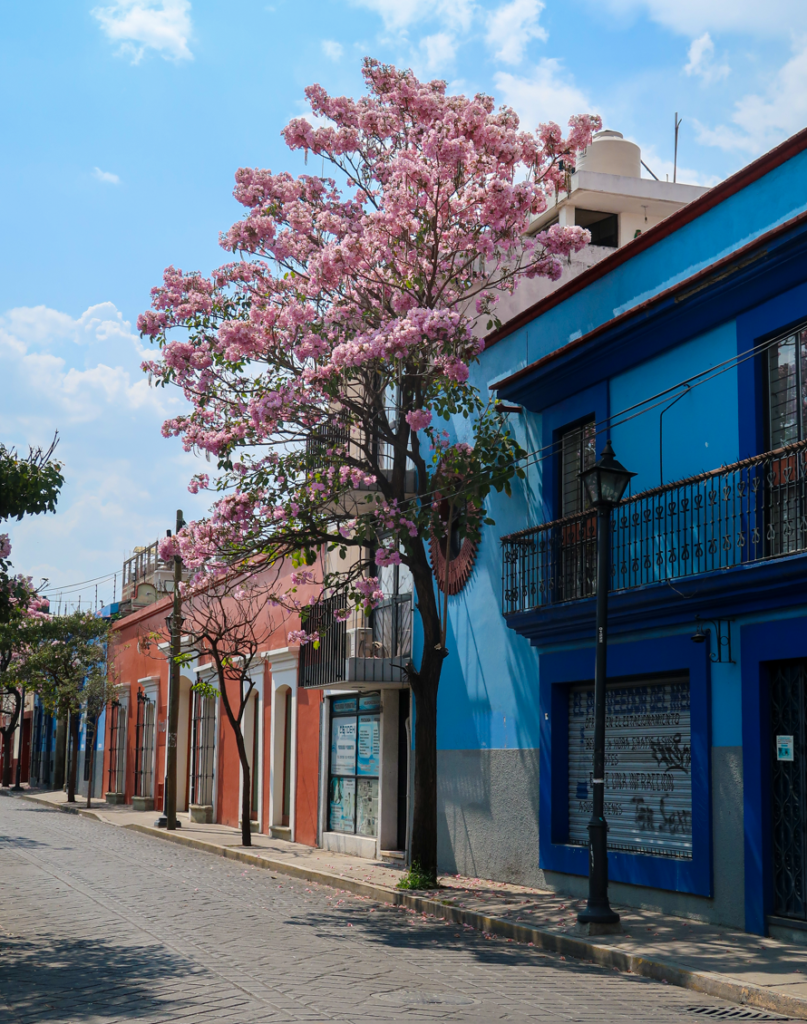 Colorful street in Oaxaca City
