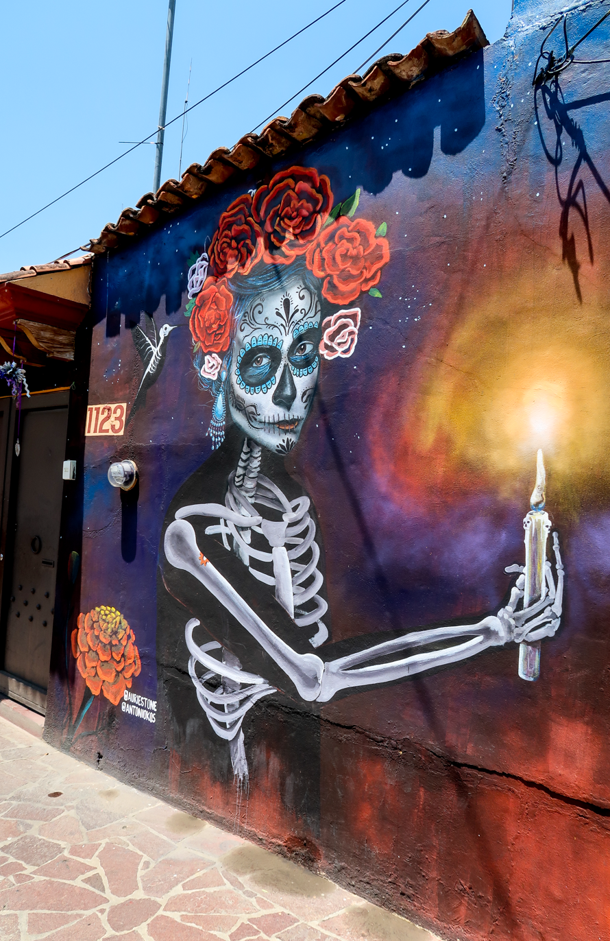 Colorful street art in Xochimilco, Oaxaca, Mexico