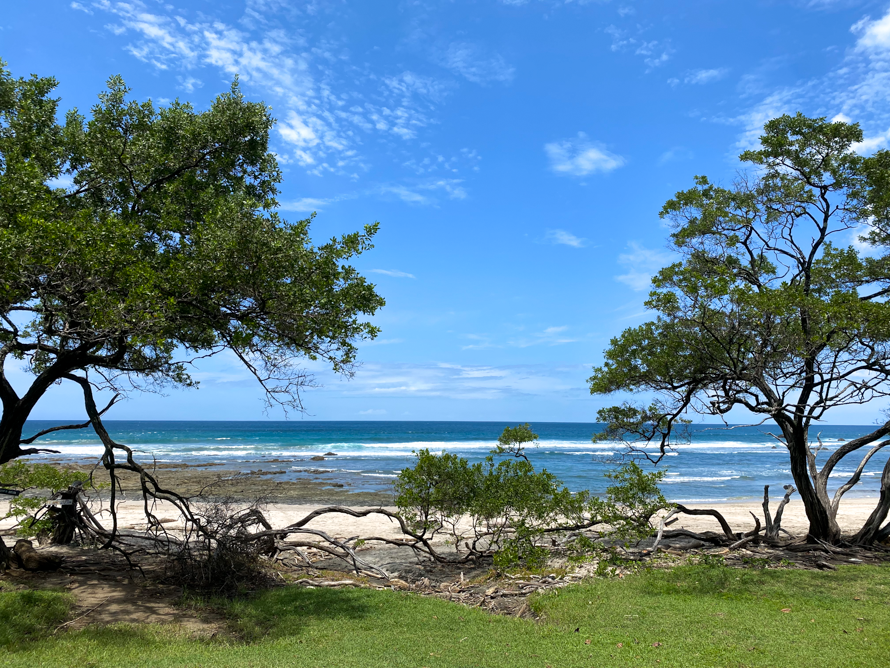 Shore of Playa Negra under clear, blue skies