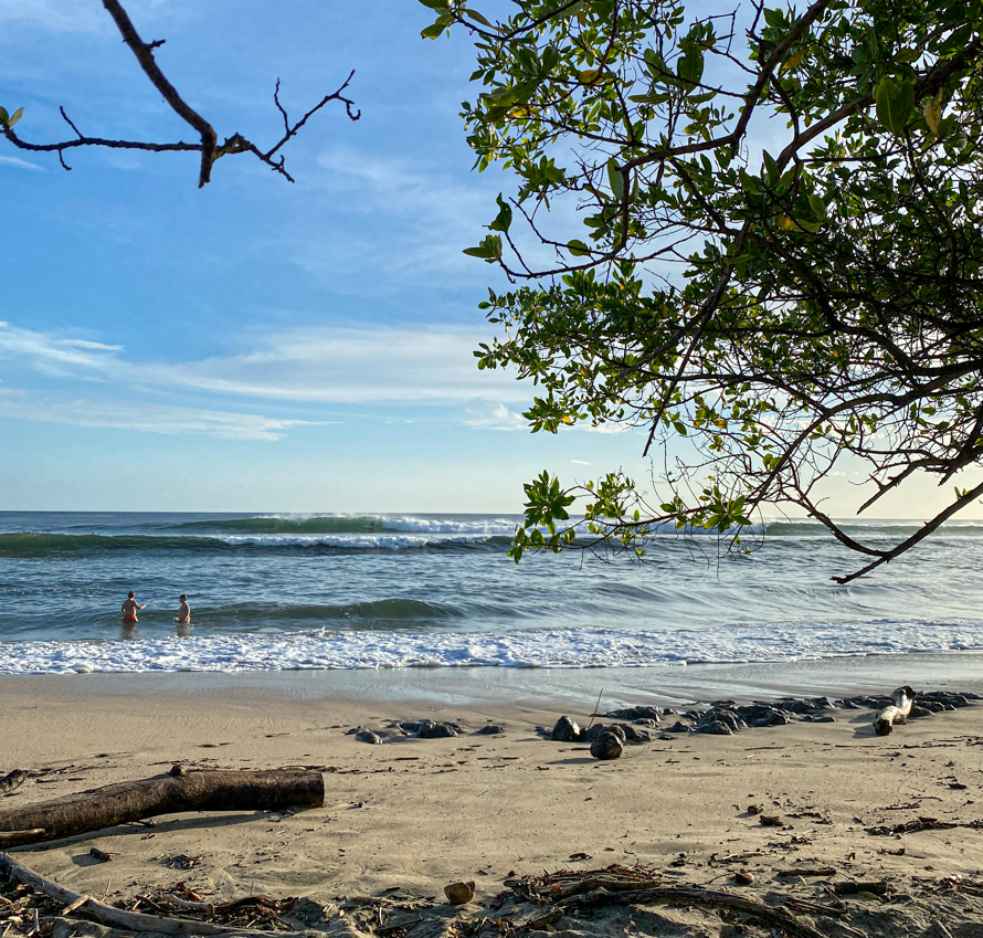 Beach and a surfer on a wave - surfing is the best thing to do in Playa Negra, Costa Rica