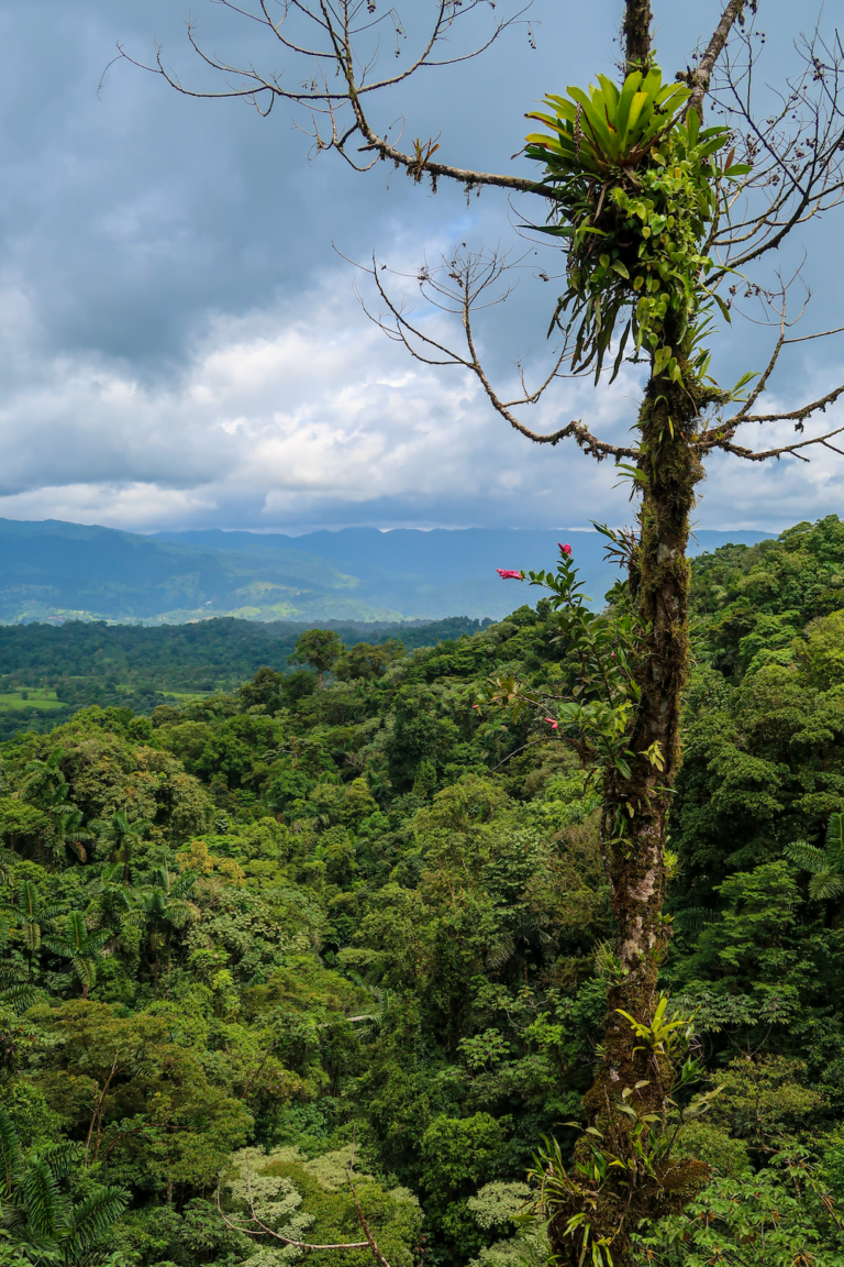 Costa Rica Rainy Season: Why it's the BEST & Must-Know Tips