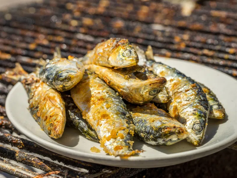 Grilled sardines in Portugal - one of the best things to do there is to try the traditional food of the Algarve