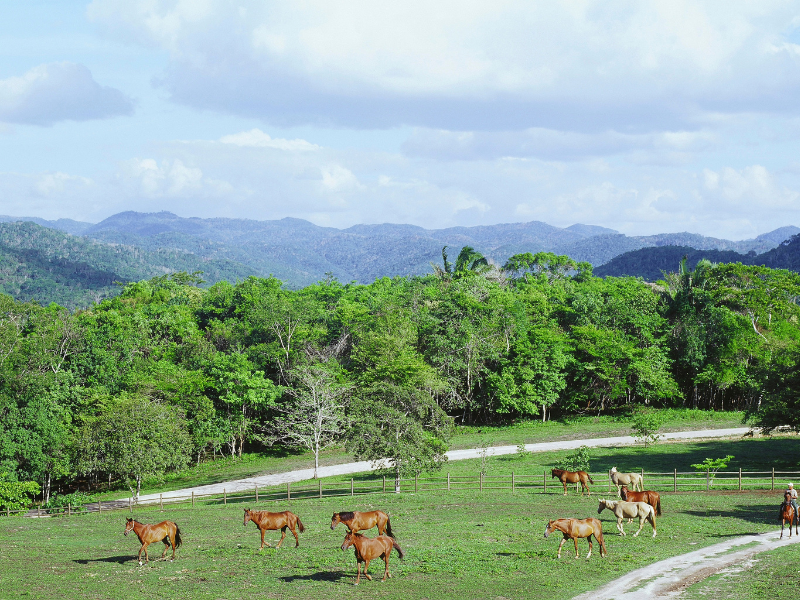 Horseback riding in the Cayo District