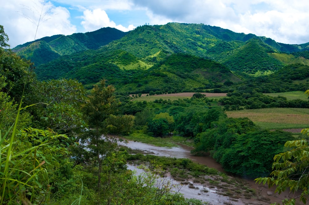 A very green forest with pastures, a river, and green hills in the background.