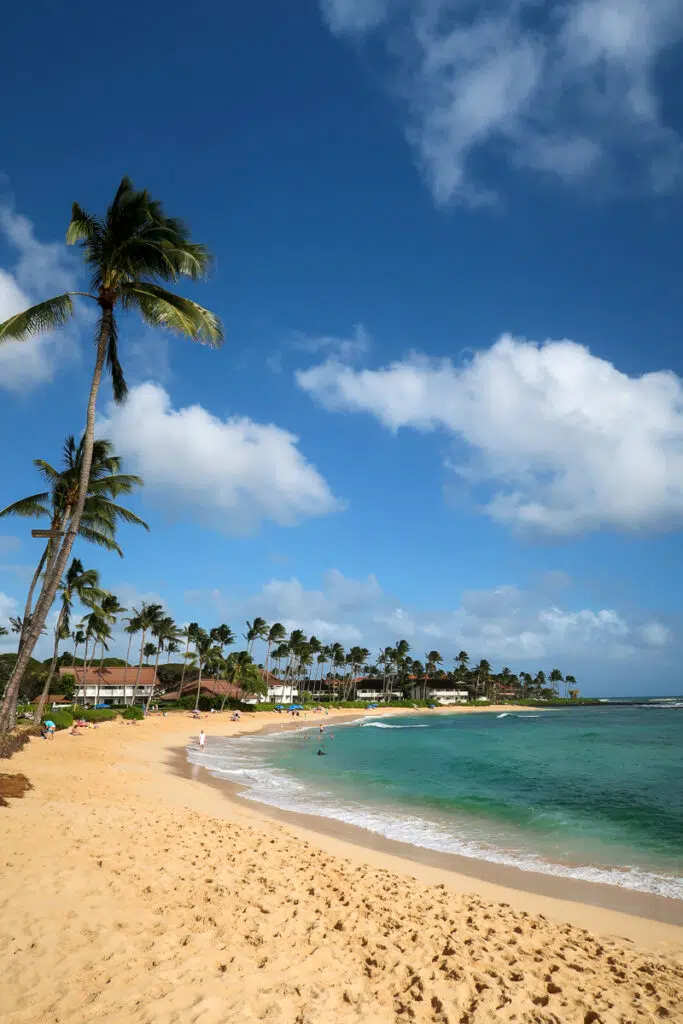 Relaxing sandy beach with palm trees. Complete your Kauai vacation by visiting this area.