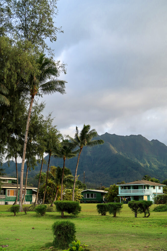 Cottages in the North Shore with green mountains behind and palm trees around.