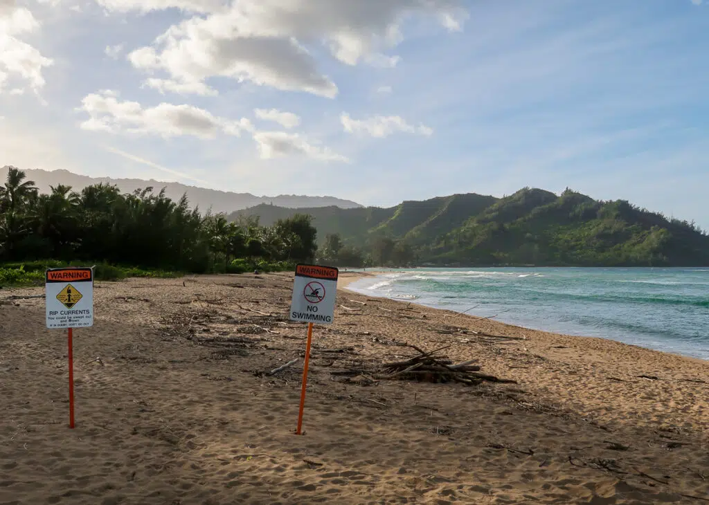 Warning signs planted in the sands of Hanalei Bay in Kauai. Include a stroll along the island's largest bay in your Kauai vacation itinerary.