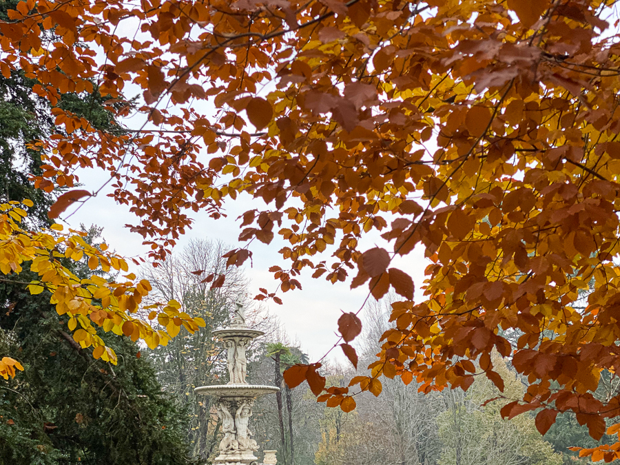 A view of an old statue in the gardens of Campo del Moro as seen from under a tree during autumn season.
